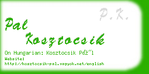 pal kosztocsik business card